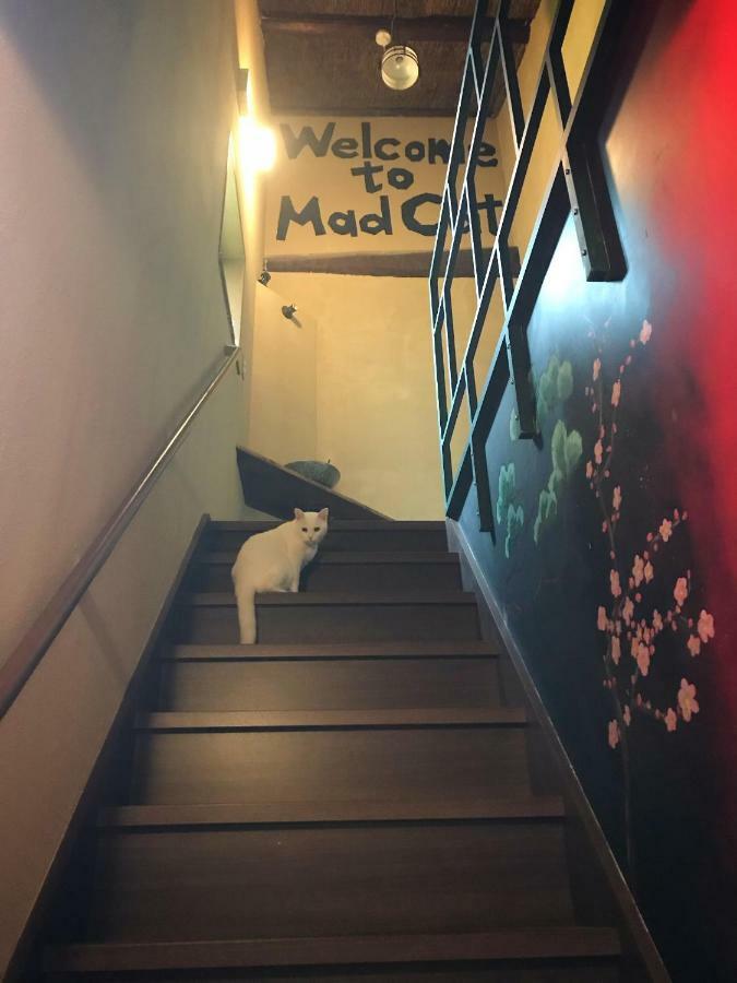 Mad Cat Hostel Osaka & Bar 外观 照片